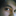 Skype icon